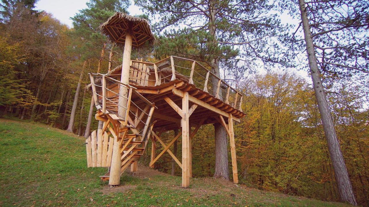 Pine Point Hotell Trenčianske Teplice Exteriör bild